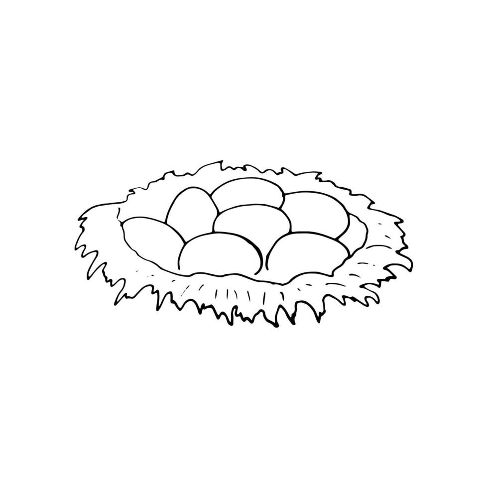 Hand-drawn Nest with eggs. Food illustration isolated on white background. vector