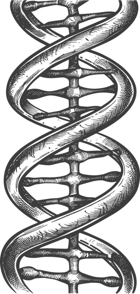 gene DNA mutation symbol with engraving style black color only vector