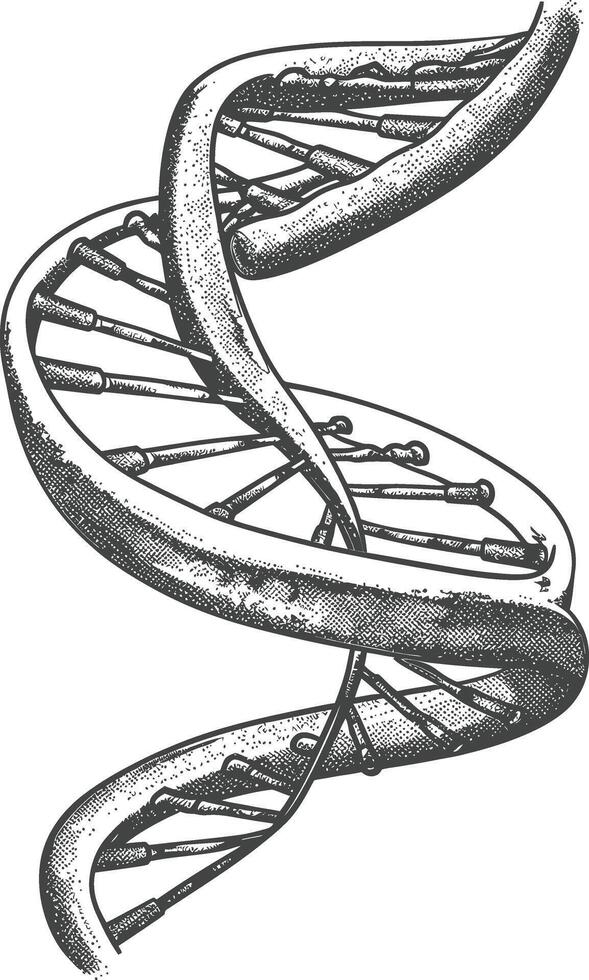 gene DNA mutation symbol with engraving style black color only vector