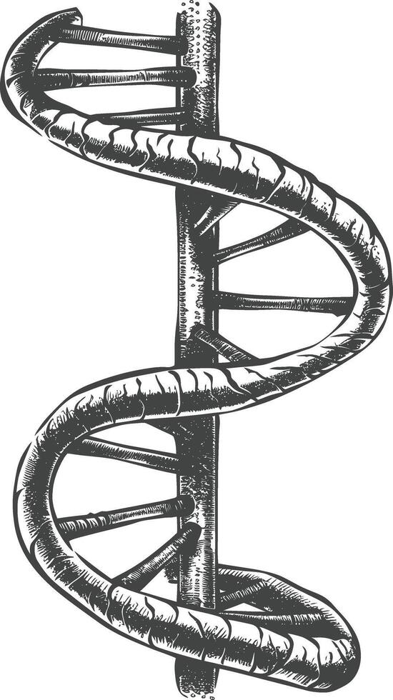 gene DNA mutation symbol with engraving style black color only vector