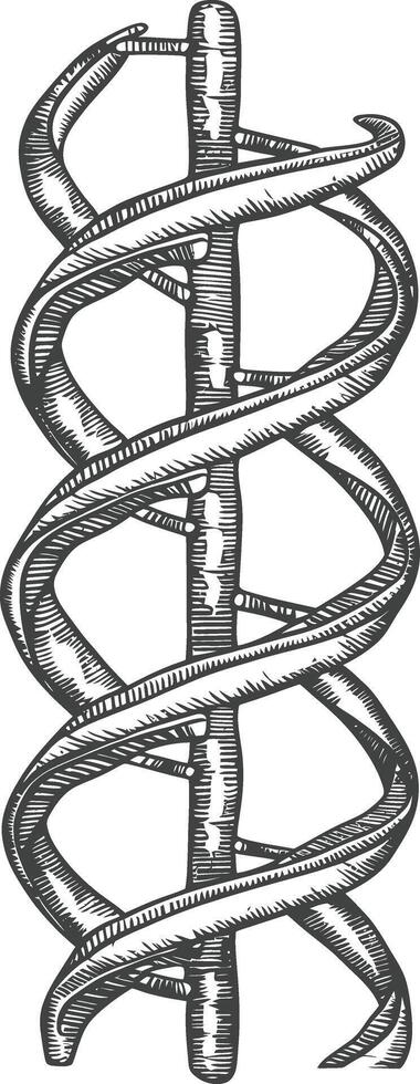 gene DNA mutation symbol with engraving style black color only vector