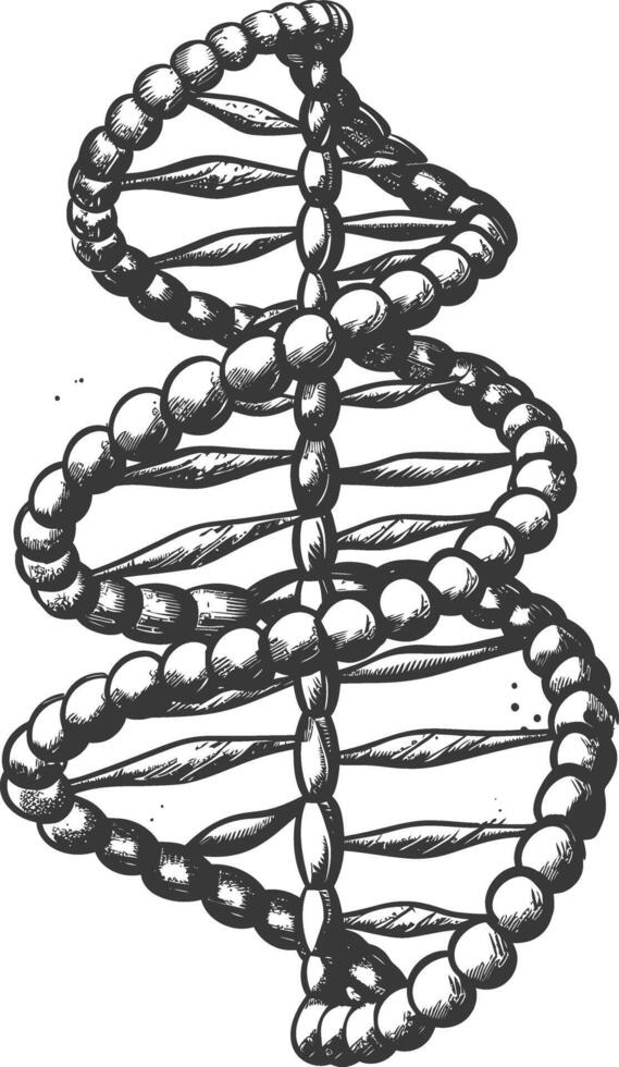 gene DNA mutation symbol with engraving style black color only vector