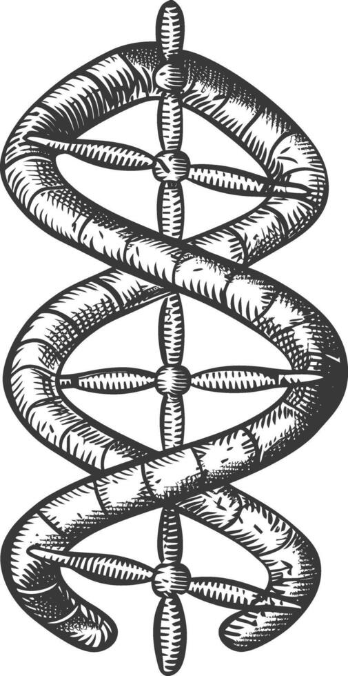 gene DNA mutation symbol with engraving style black color only vector