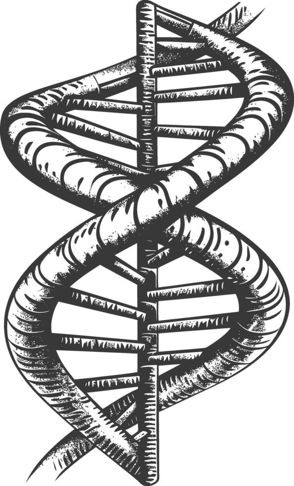 gene DNA mutation symbol with engraving style black color only vector