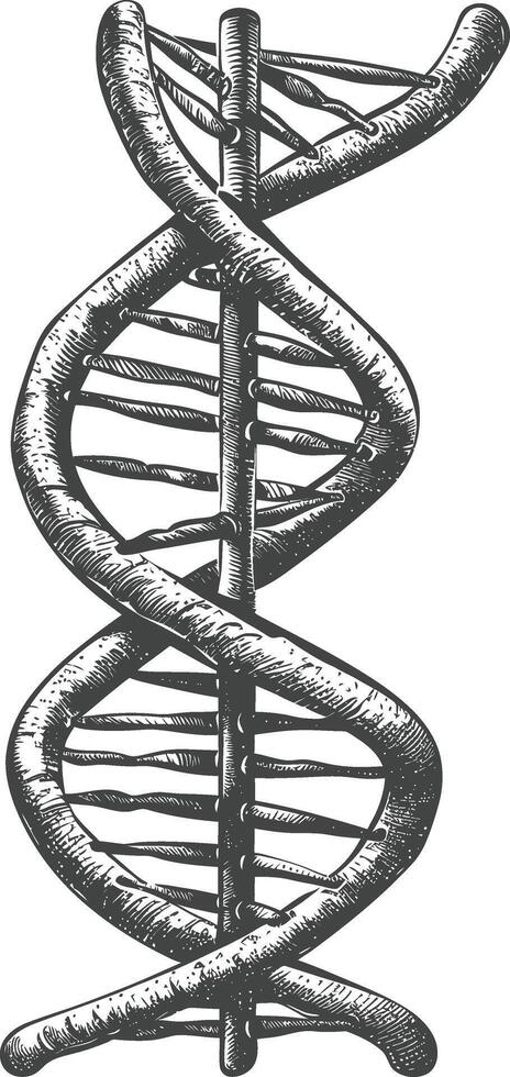 gene DNA mutation symbol with engraving style black color only vector