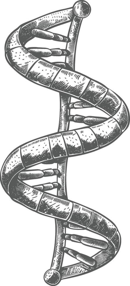 gene DNA mutation symbol with engraving style black color only vector