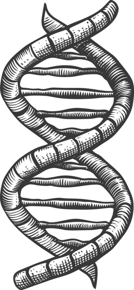 gene DNA mutation symbol with engraving style black color only vector