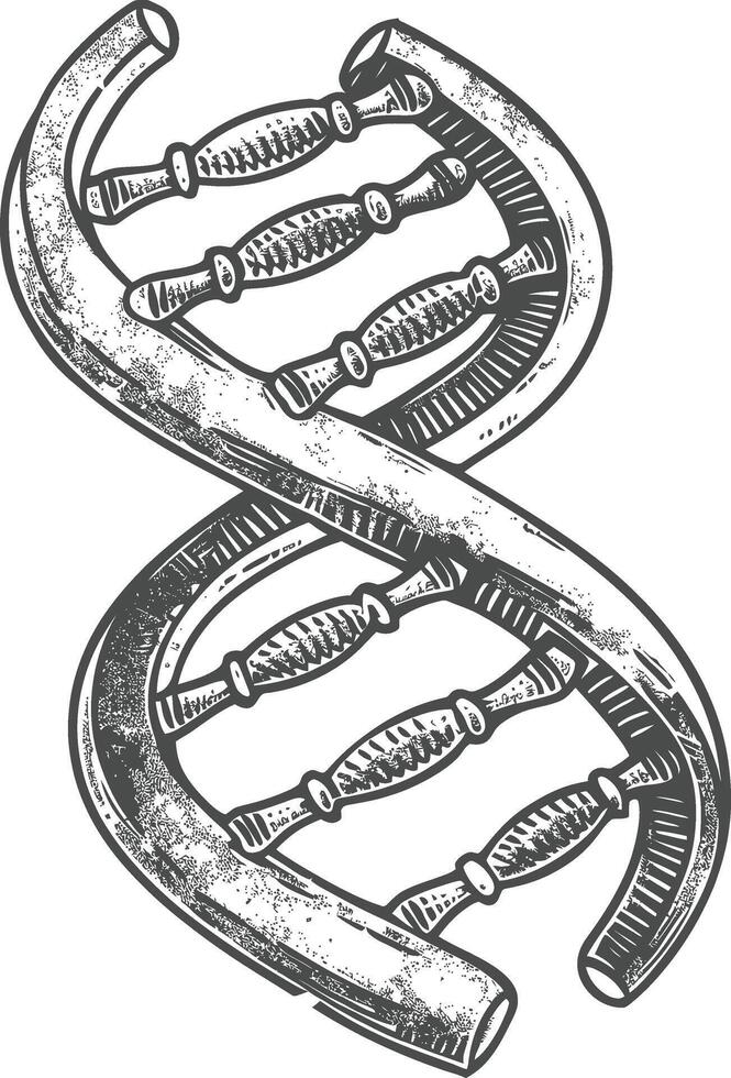 gene DNA mutation symbol with engraving style black color only vector