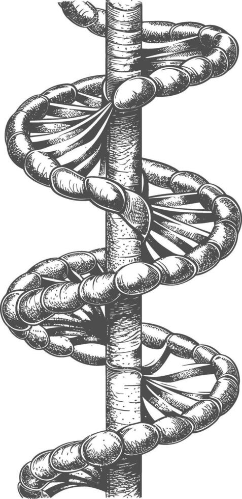 gene DNA mutation symbol with engraving style black color only vector