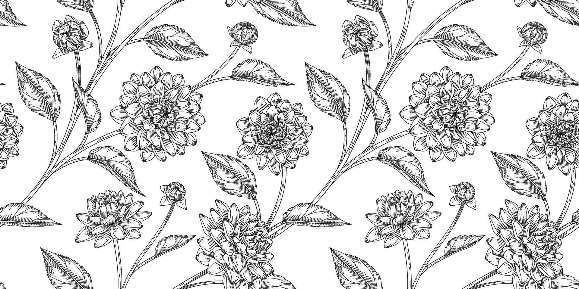 Dahlia floral pattern black and white illustration vector