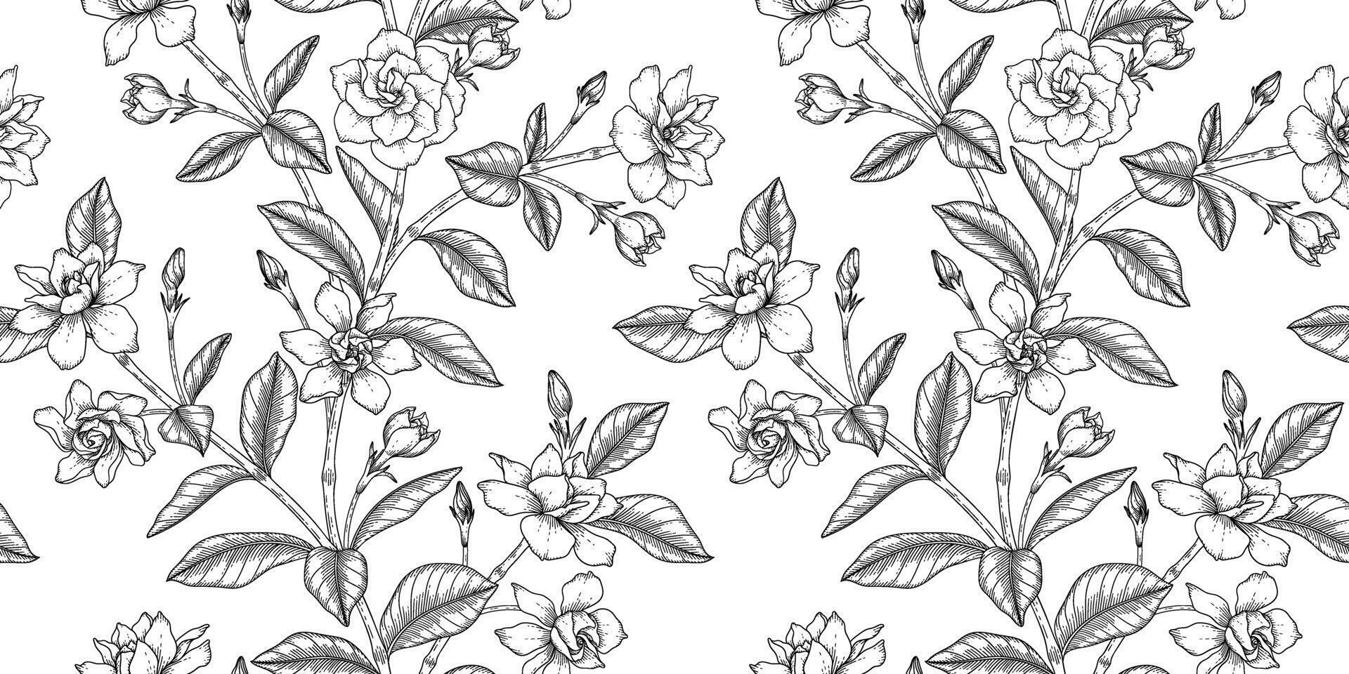 Gardenia floral pattern black and white illustration vector