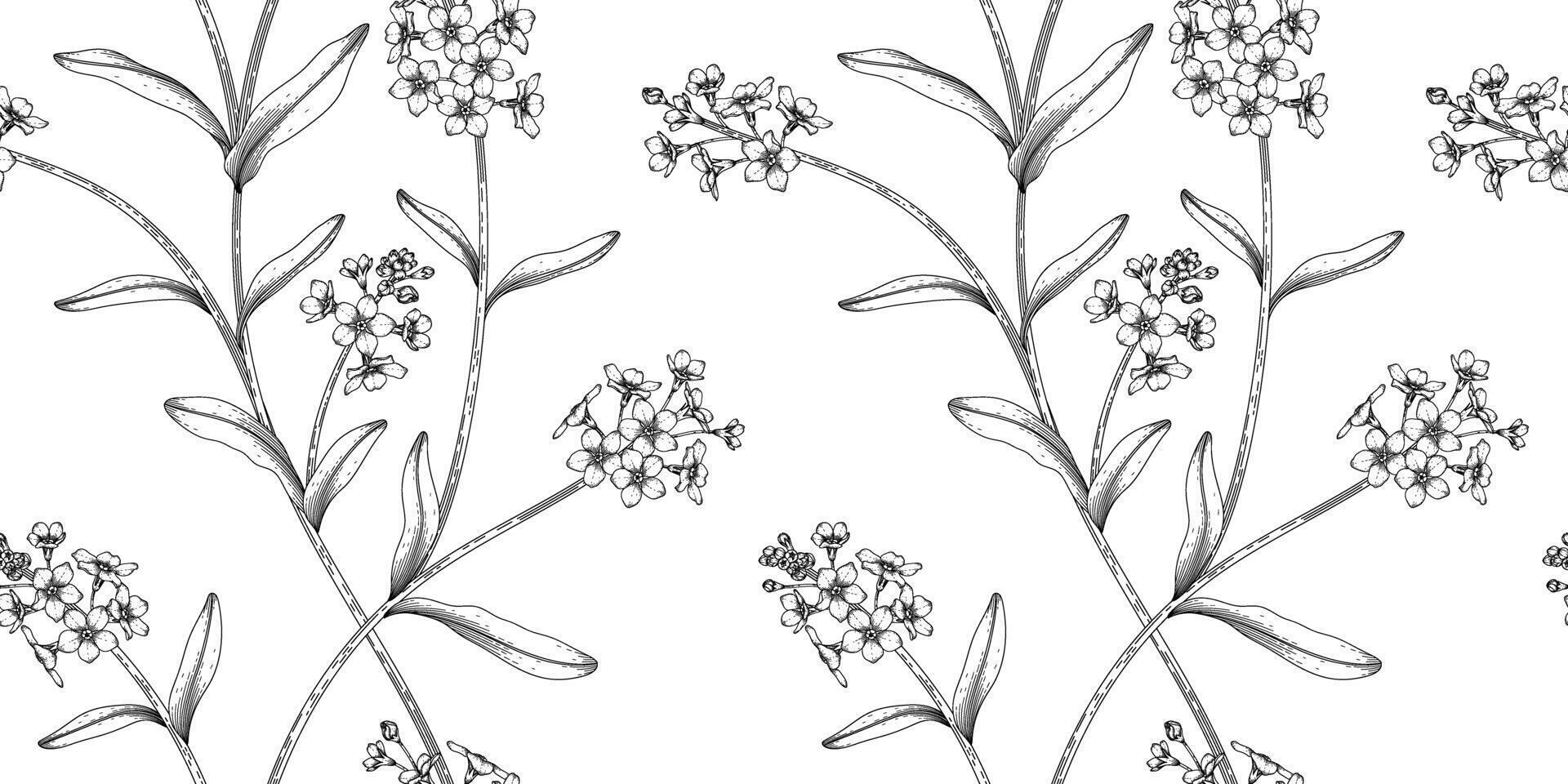 Forget me not floral pattern black and white illustration vector