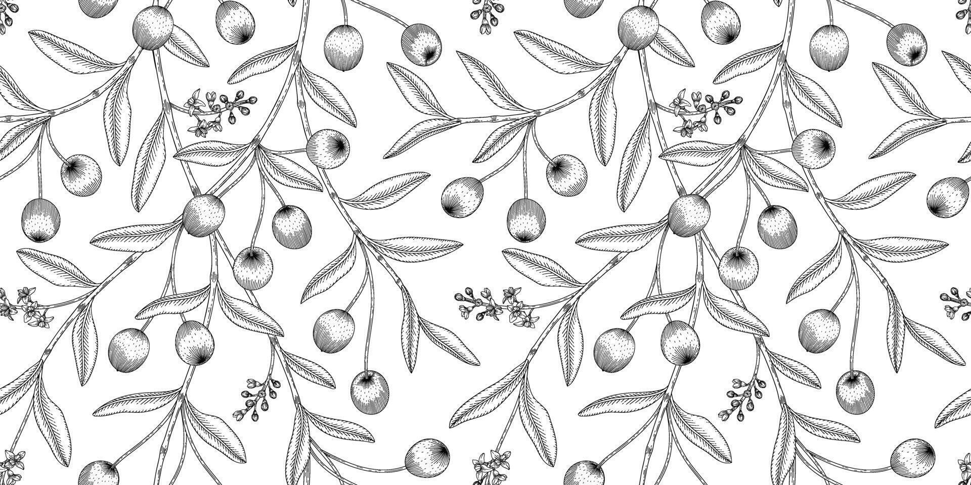 olive tree pattern black and white illustration vector