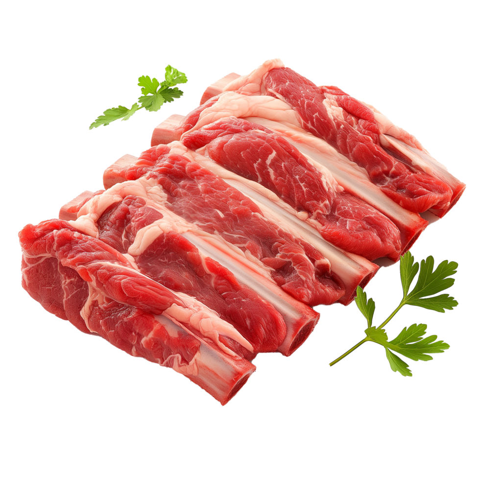 Raw Beef Rib with Marbled Meat and Bone herb png