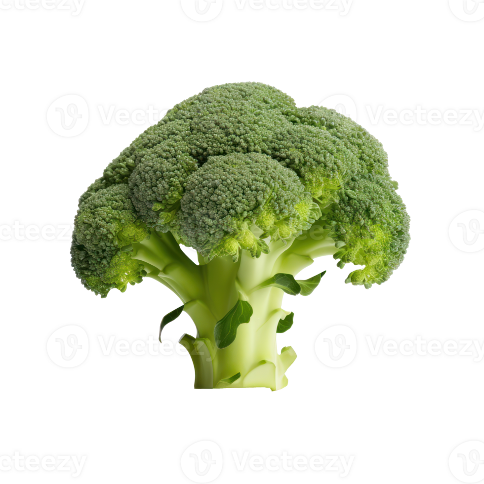 Raw Healthy Green Broccoli Florets. Isolated on Background png