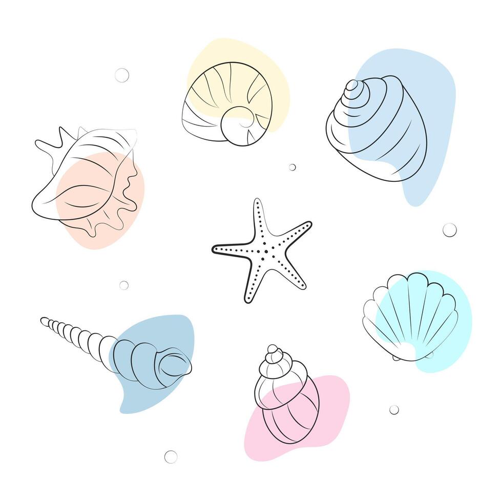 Set of seashells in boho style. Doodle marine life. Hand drawn illustration isolated on white background vector