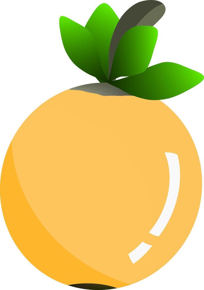 orange fruit isolated on white vector