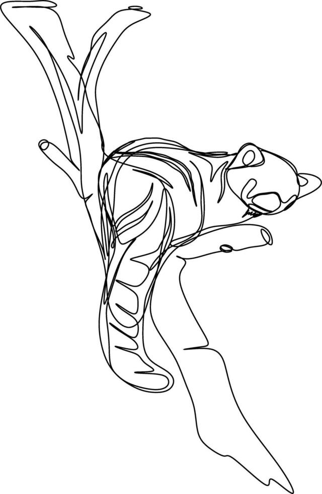 One line art. one continuous line art of a red panda on the tree branch vector