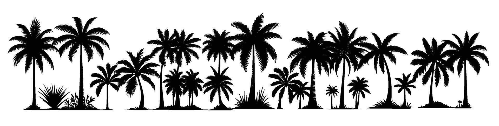 Black palm tree set illustration on white background silhouette art black white stock illustration vector