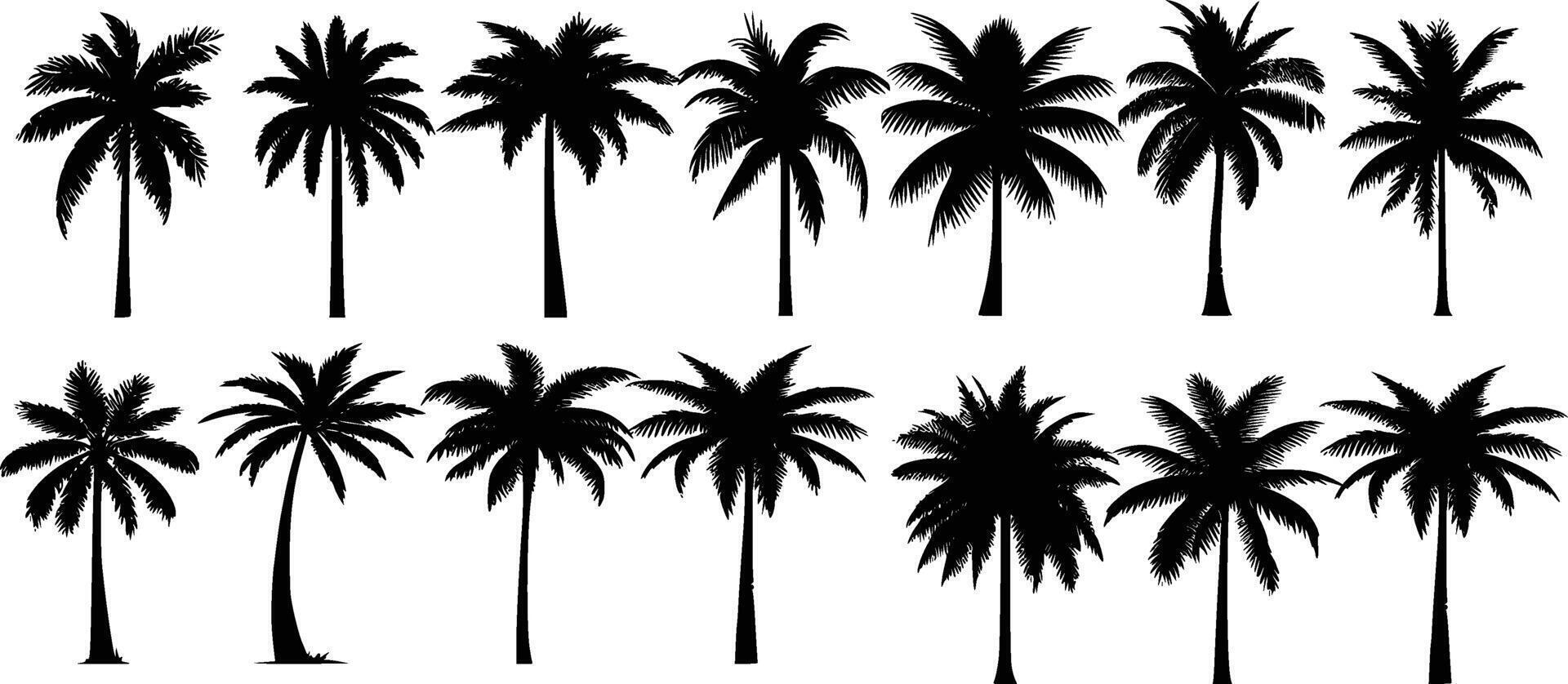 Tropical palm trees set silhouettes vector