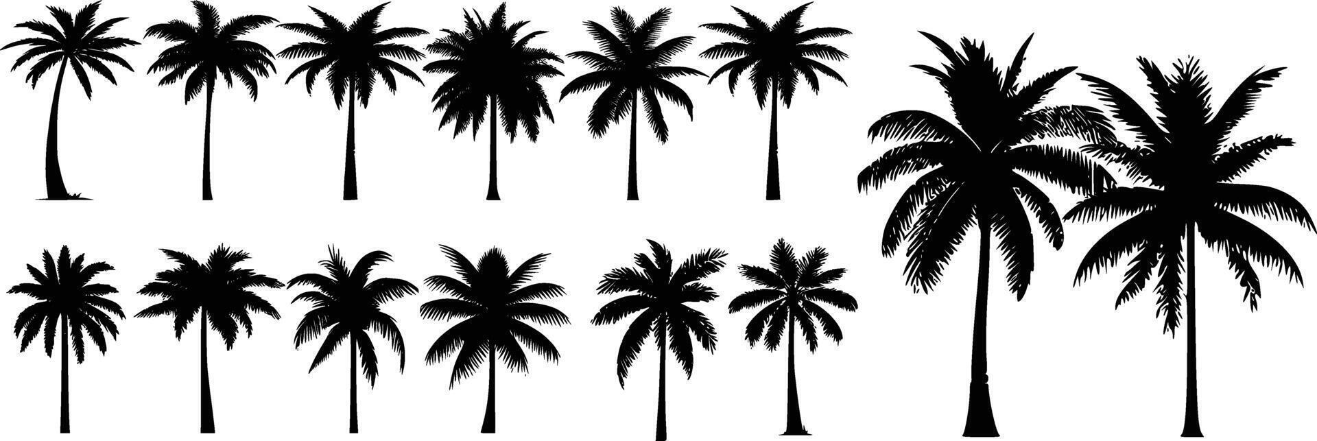 Tropical palm trees set silhouettes vector