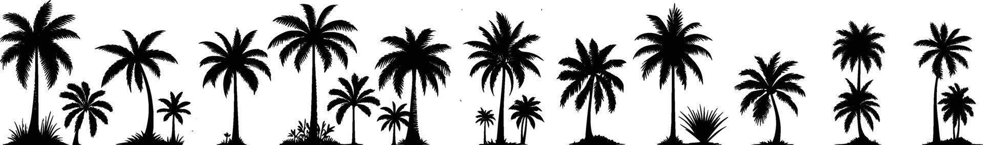 Tropical palm trees set silhouettes vector