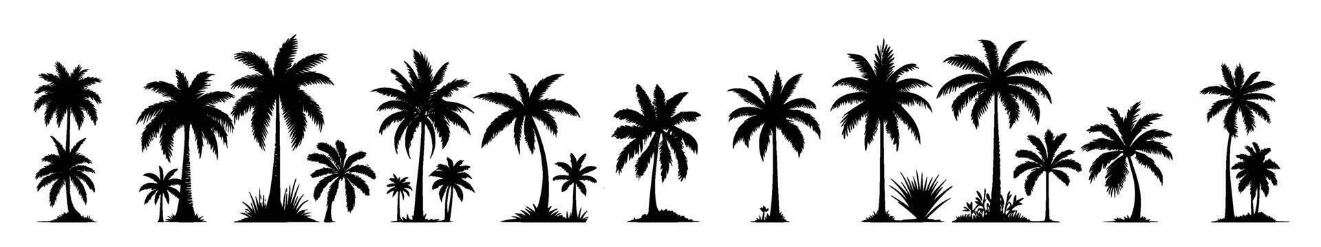 Black palm tree set illustration on white background silhouette art black white stock illustration vector