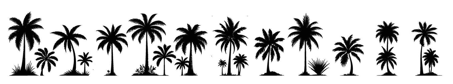 Black palm tree set illustration on white background silhouette art black white stock illustration vector