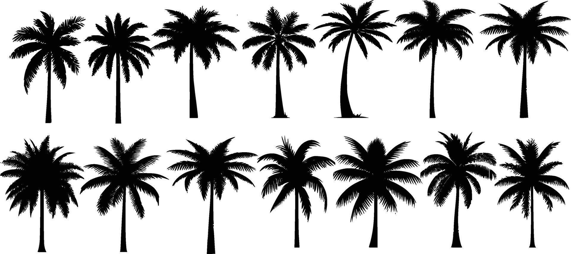 Tropical palm trees set silhouettes vector