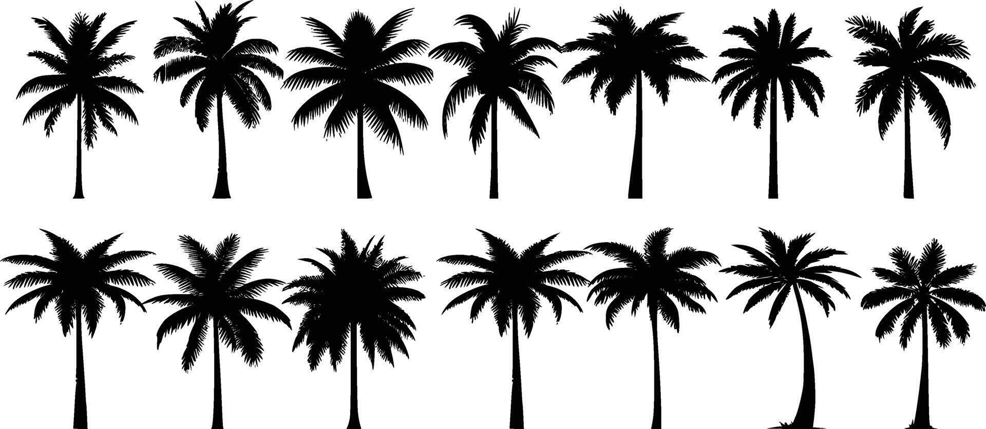 black silhouettes of palm trees isolated on a white background. vector