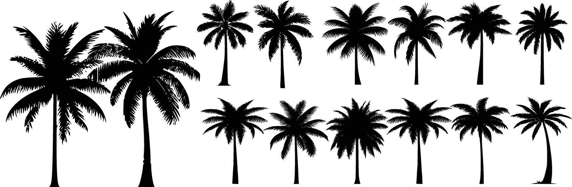 black silhouettes of palm trees isolated on a white background. vector