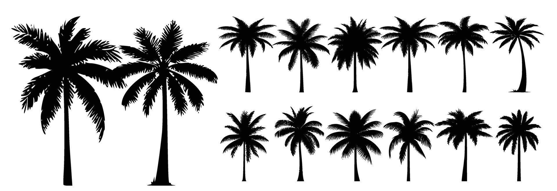 Black palm trees set isolated on white background. Palm silhouettes. vector