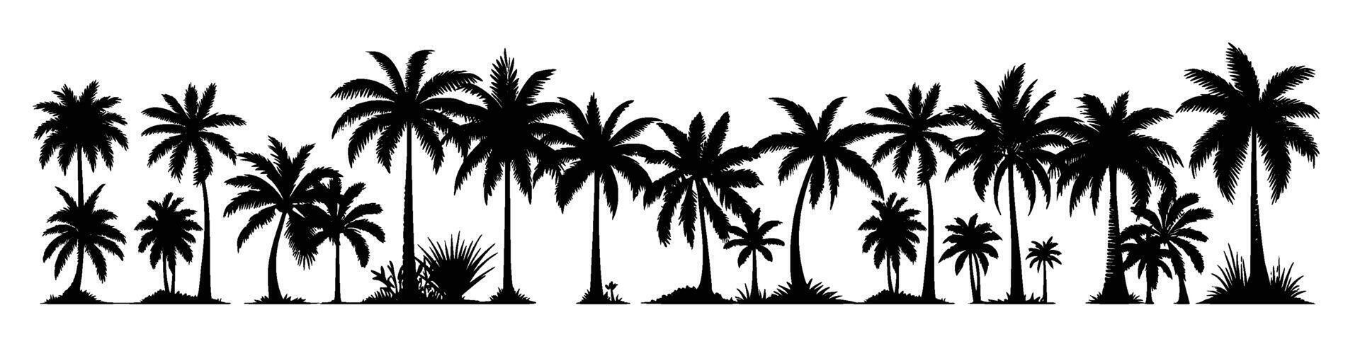 Tropical palm trees set silhouettes vector