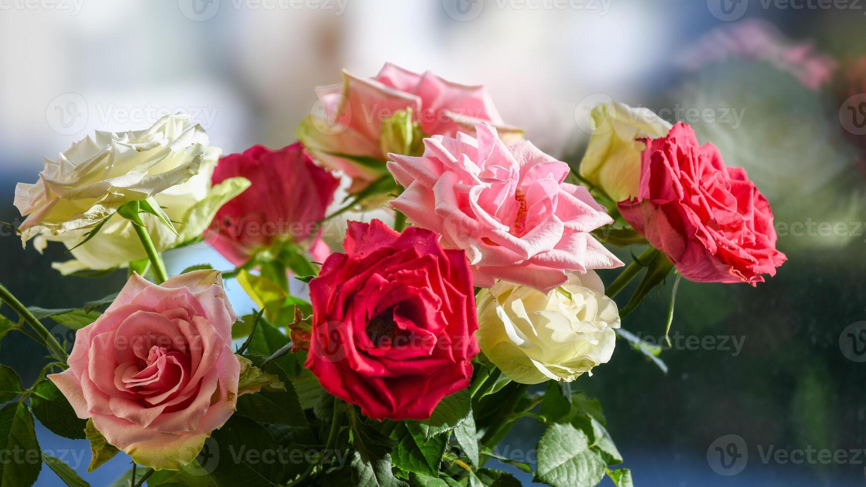 Bouquet of beautiful roses on the windowsill photo