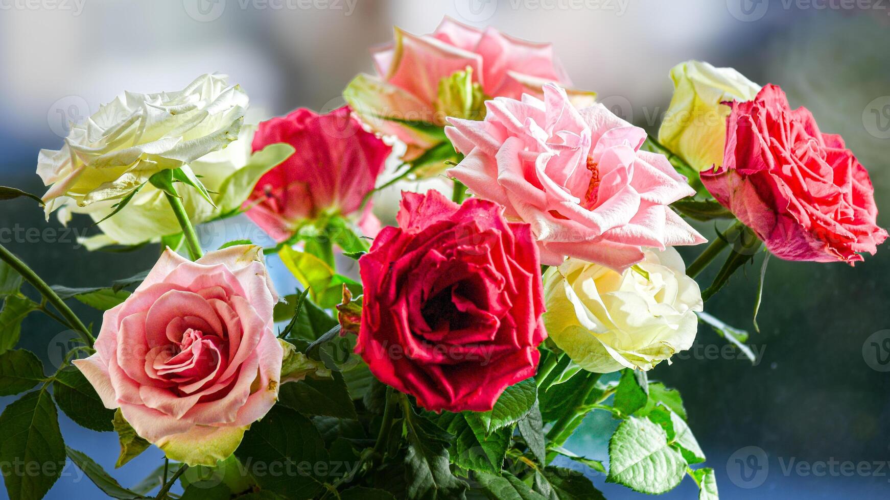 Bouquet of beautiful roses on the windowsill photo