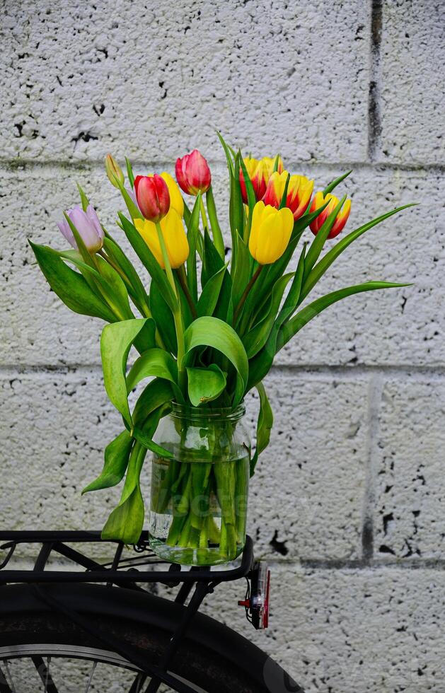A bouquet of tulips in a glass jar on the trunk of a bicycle. photo