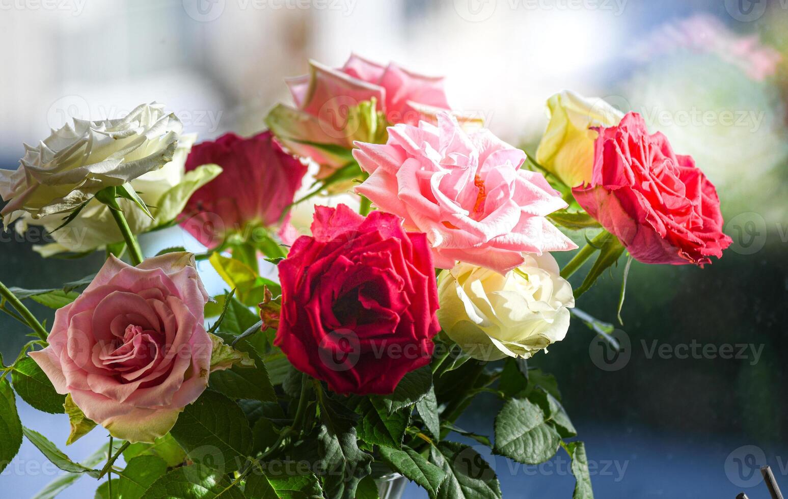 Bouquet of beautiful roses on the windowsill photo