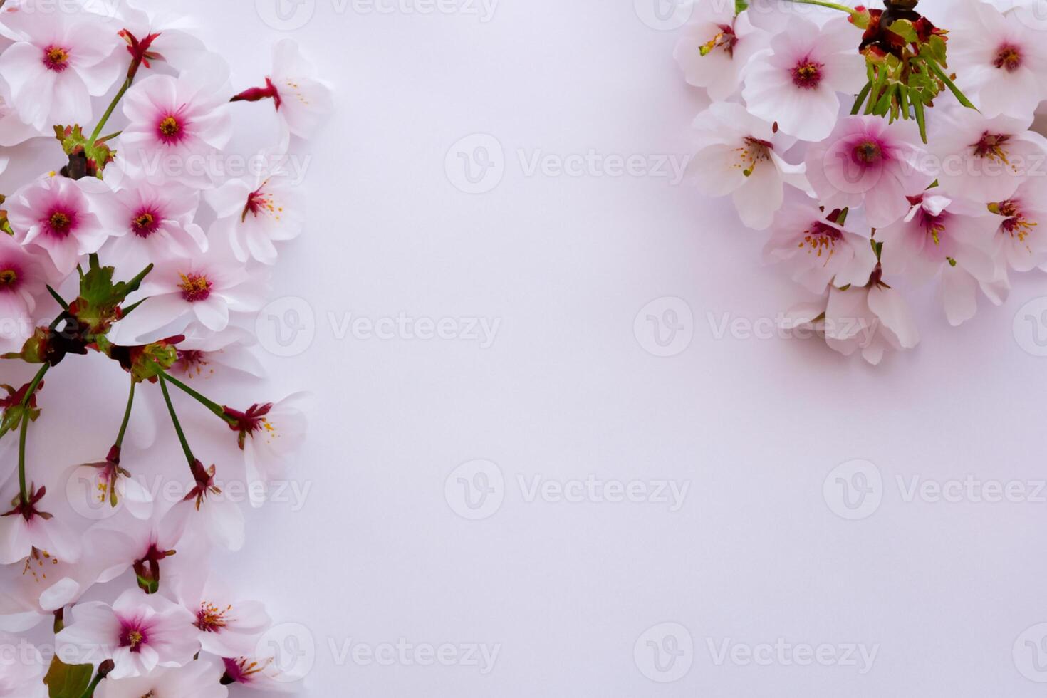 Graceful Harmony Beautiful Cherry Blossom on Blank Paper, Capturing Timeless Beauty and Serenity, Perfect for Artistic Presentations and Creative Projects photo