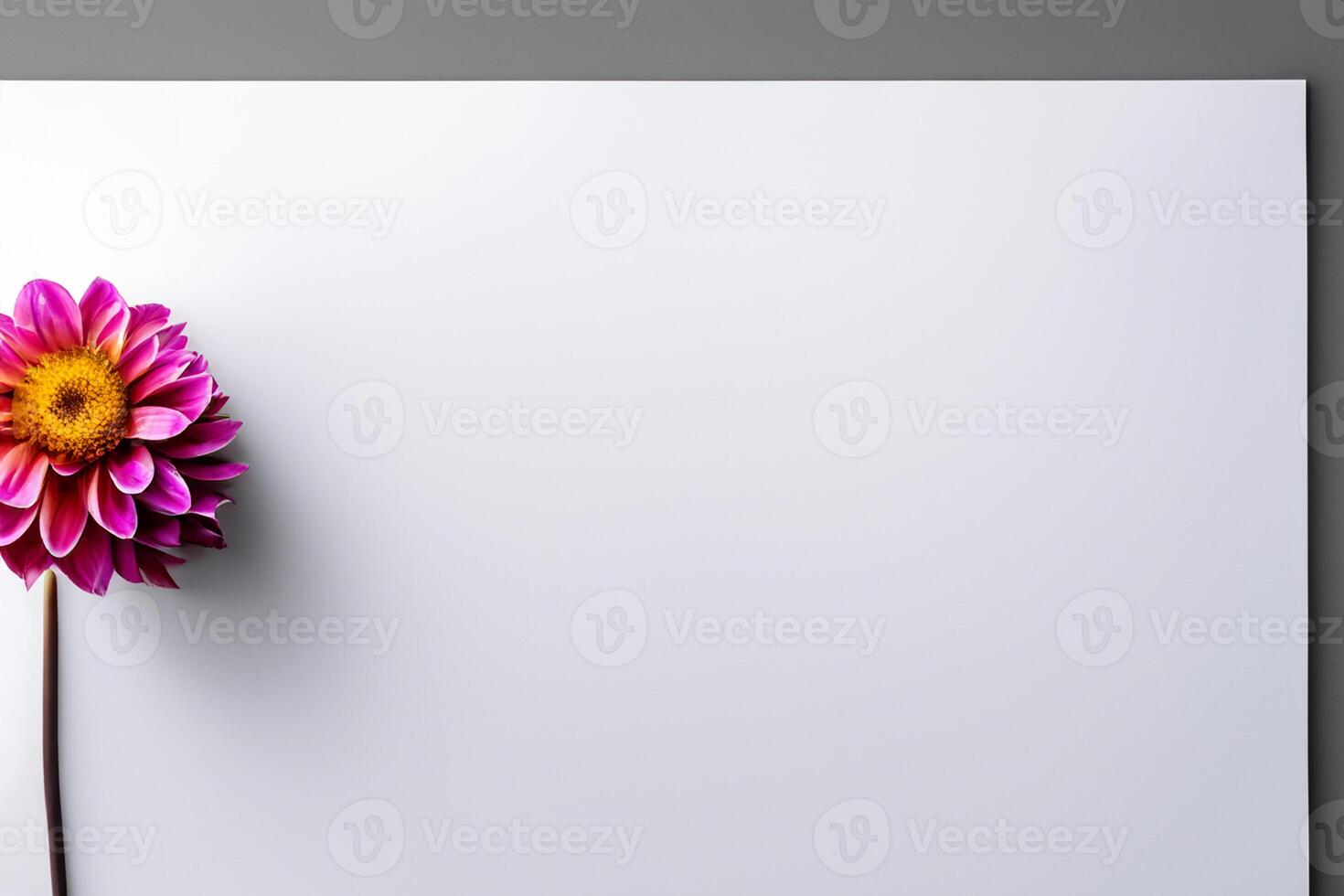Mockup Cute Flower on White Background A Charming Display of Floral Elegance and Simplicity photo