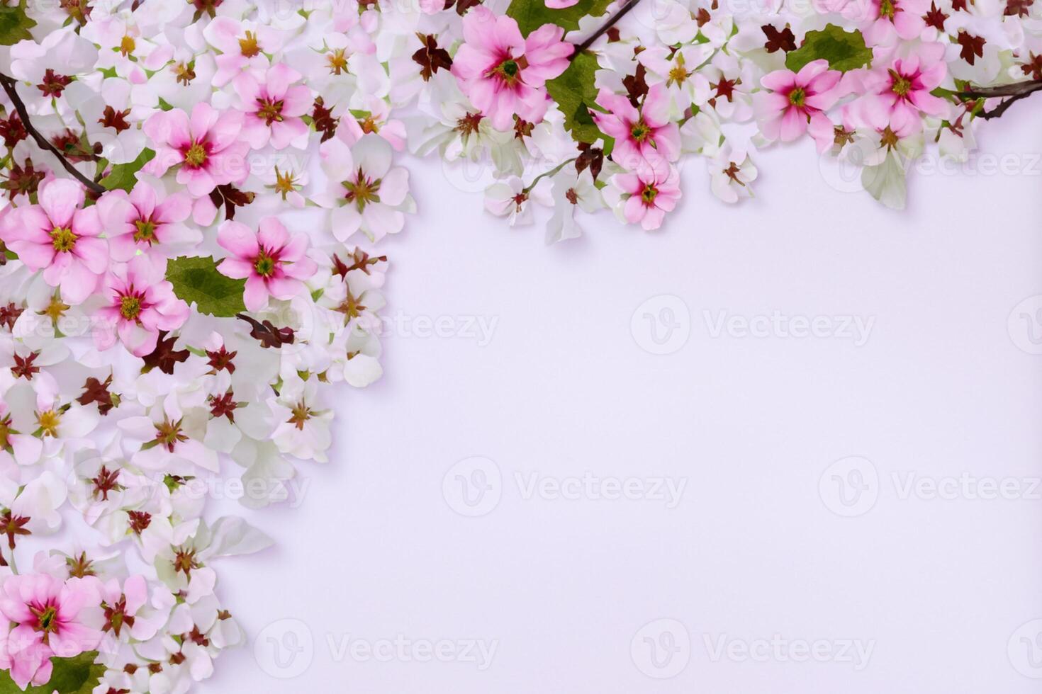 Graceful Harmony Beautiful Cherry Blossom on Blank Paper, Capturing Timeless Beauty and Serenity, Perfect for Artistic Presentations and Creative Projects photo
