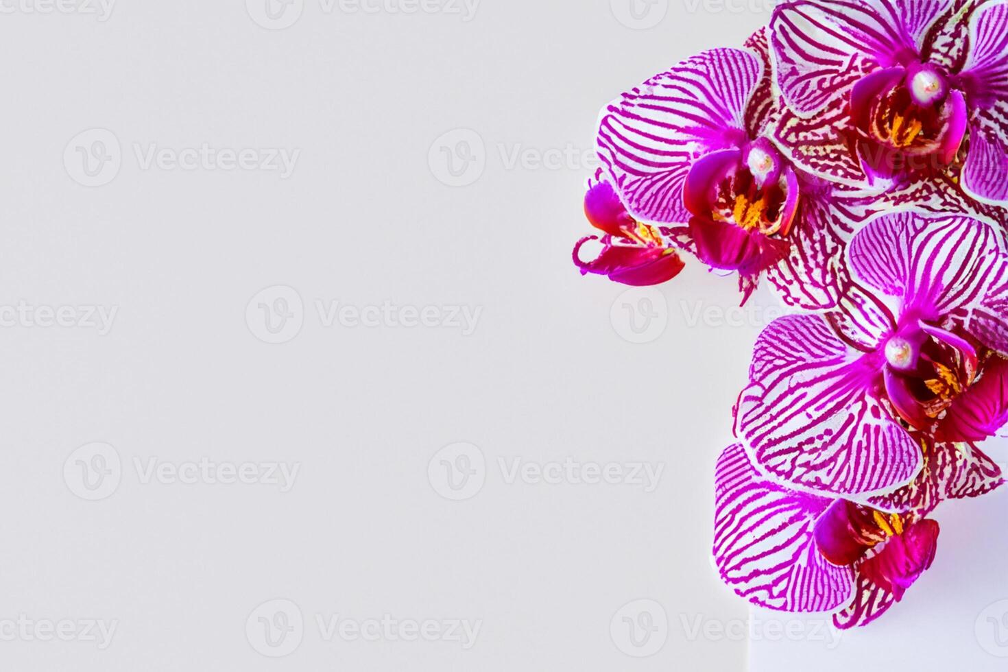 The mockup of a beautiful pink orchid on blank paper showcases a delicate and elegant floral design. photo