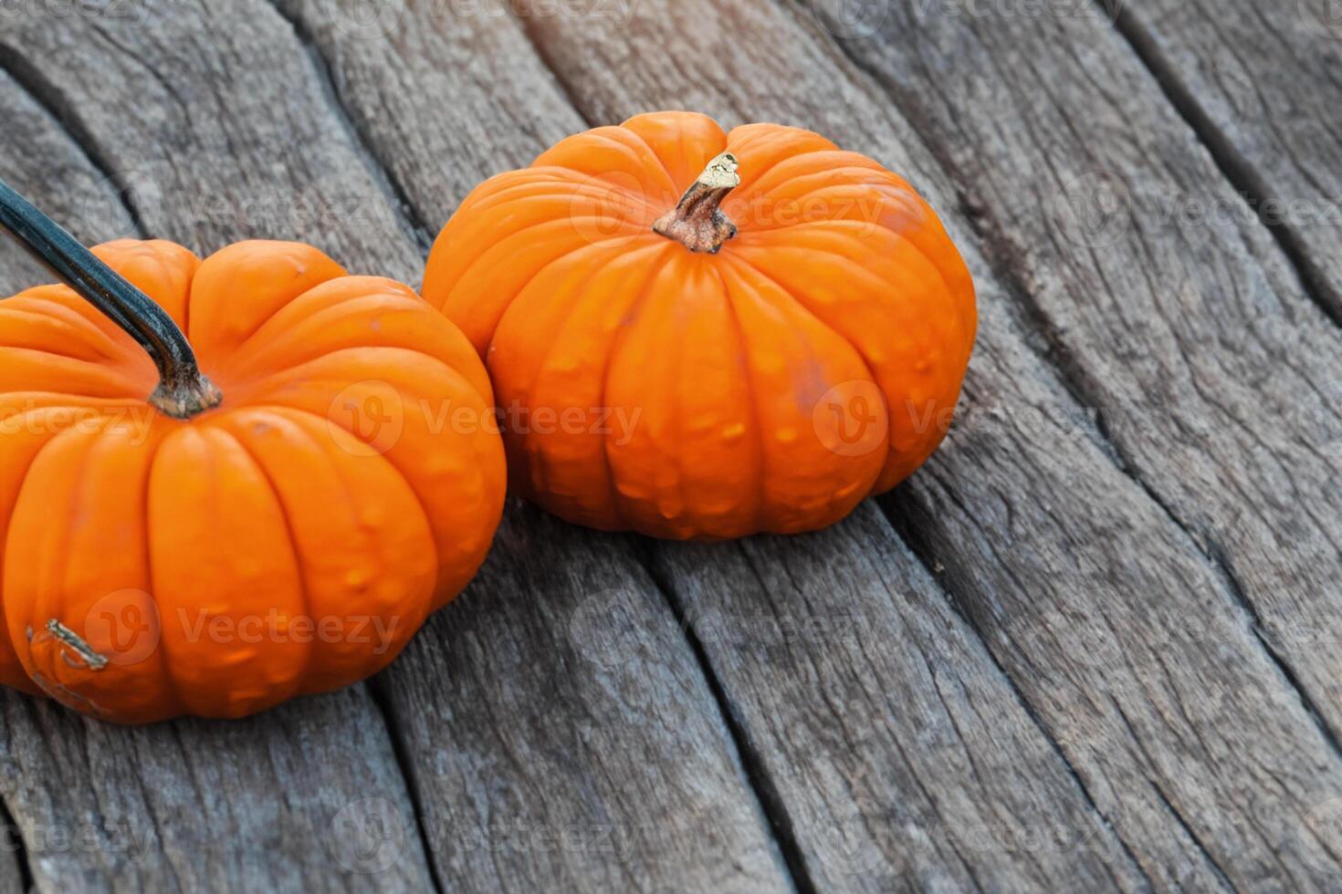 The Enchanting Beauty of Pumpkins A Celebration of Vibrant Colors and Autumnal Charm Capturing the Essence of Harvest Season in Every Curve and Contour photo