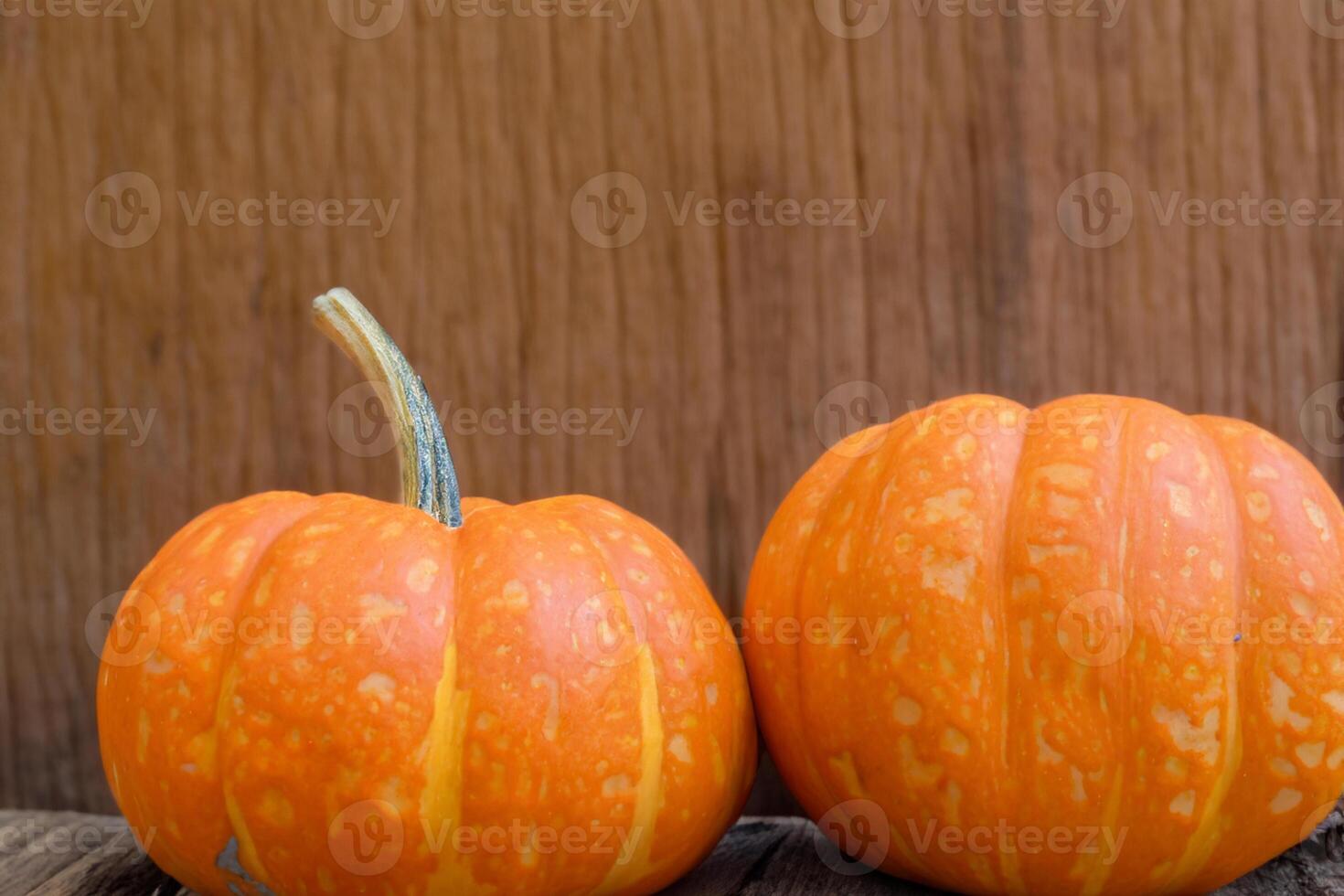 The Enchanting Beauty of Pumpkins A Celebration of Vibrant Colors and Autumnal Charm Capturing the Essence of Harvest Season in Every Curve and Contour photo