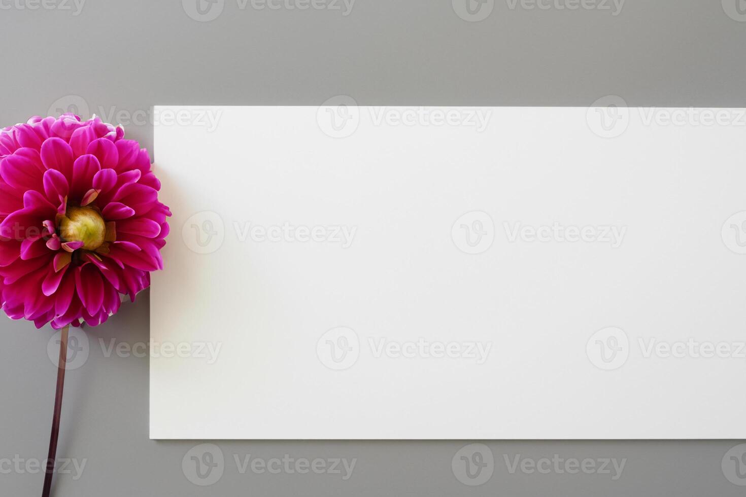 Cute Flower on White Background A Delicate Blossom in Serene Simplicity, Nature's Charming Creation photo