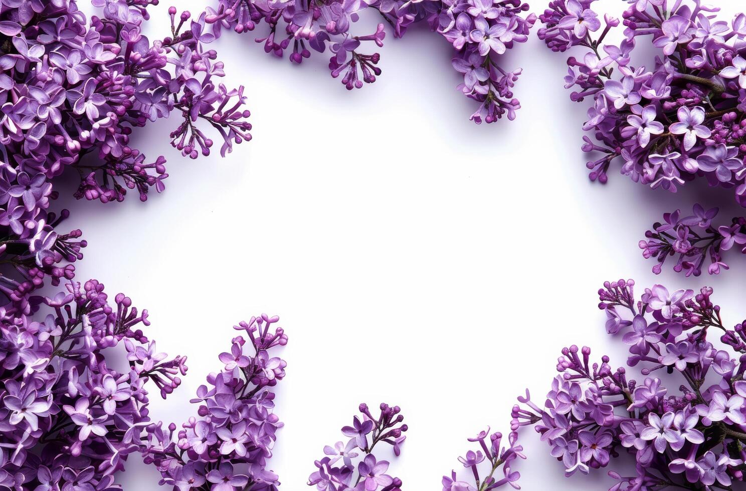 Bunch of Purple Flowers on White Background photo