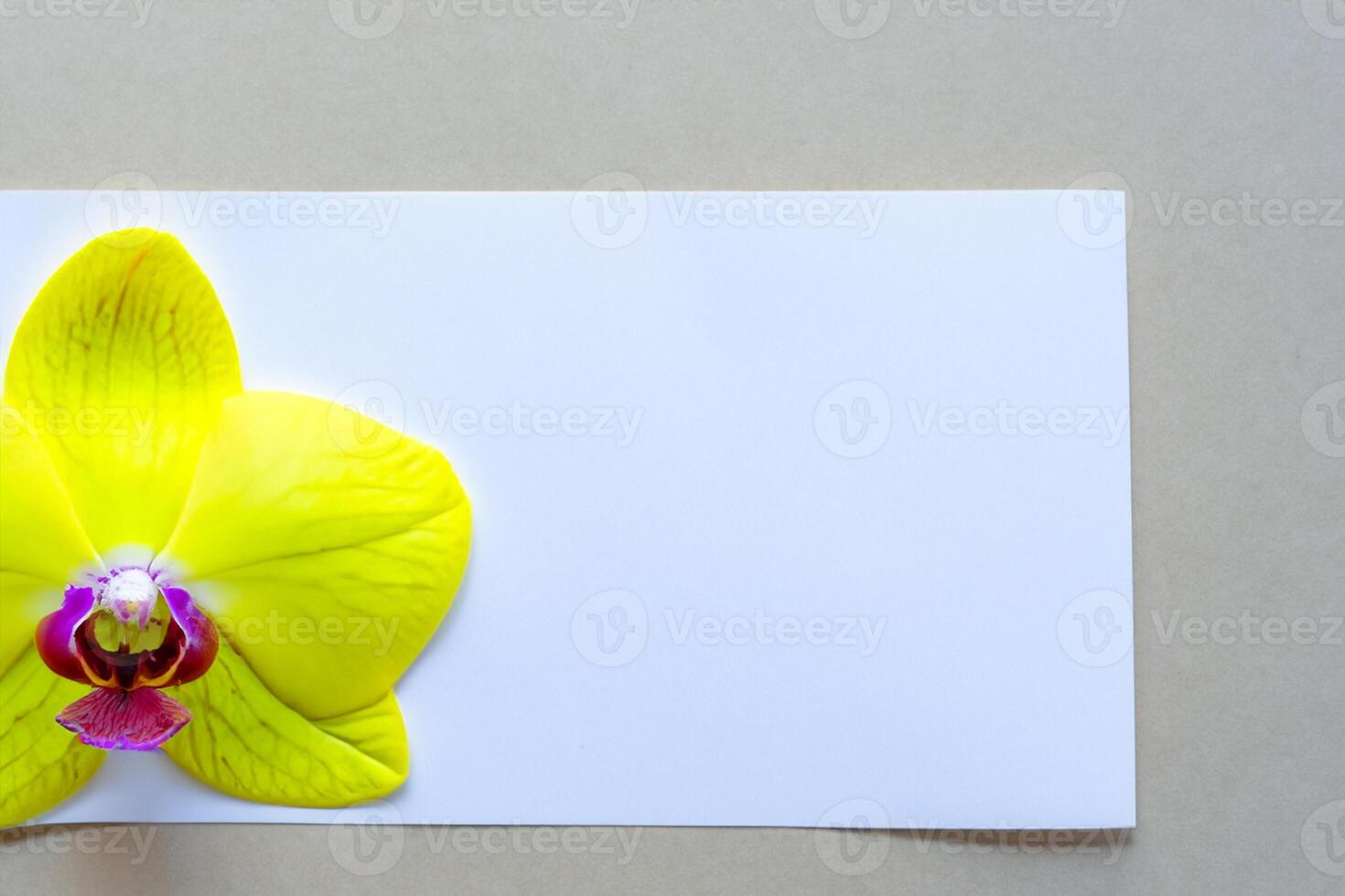 Radiant Splendor Mockup of Beautiful Yellow Orchid on Blank Paper, Perfect for Creative Projects and Artistic Presentations, Illuminating Natural Beauty and Grace photo