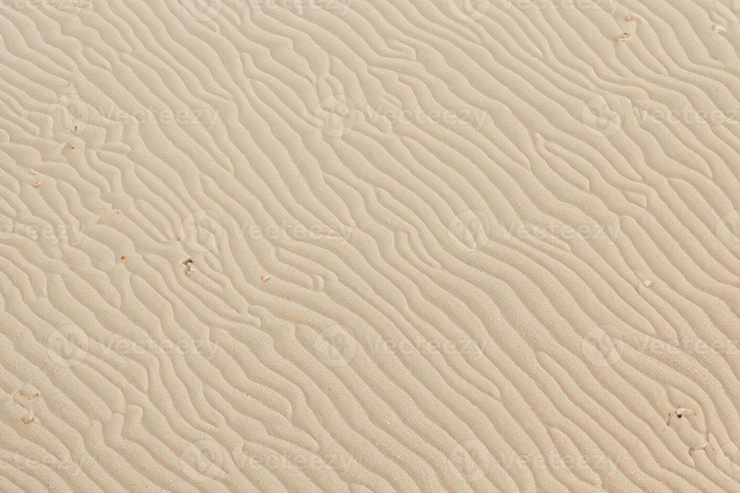 Beautiful Natural Motif Sands Woven by Nature's Artistry into a Stunning Tapestry of Earthy Hues and Intricate Patterns, a Timeless Portrait of Coastal Beauty and Serenity photo