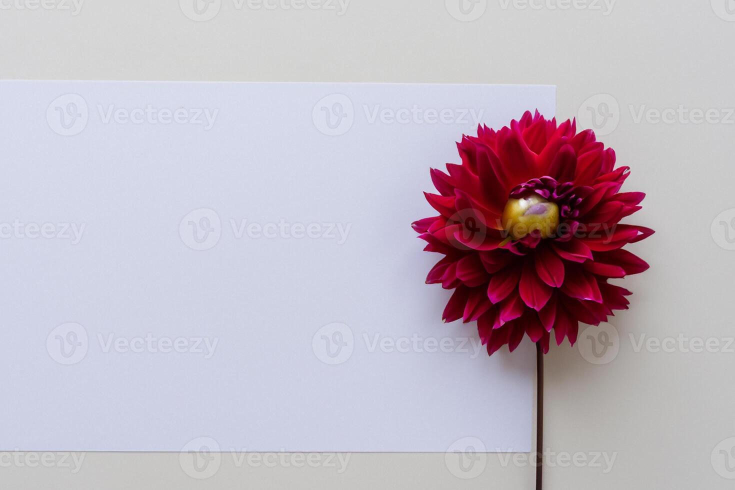 Beautiful Red Flower on White Background Mockup Capturing the Timeless Elegance of Floral Simplicity photo