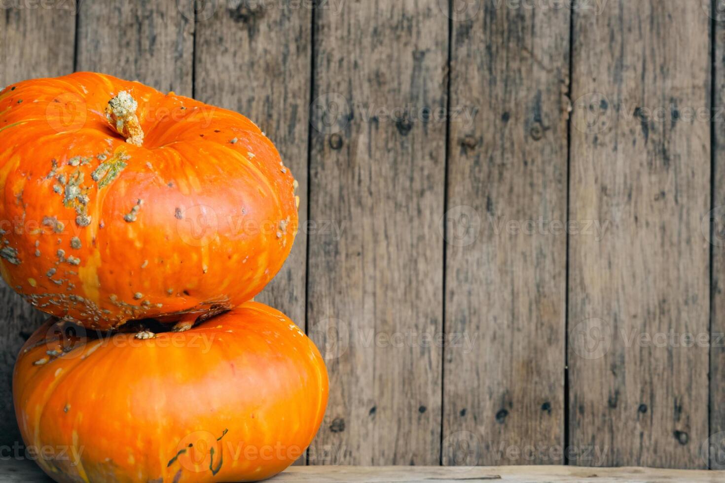 The Enchanting Beauty of Pumpkins A Celebration of Vibrant Colors and Autumnal Charm Capturing the Essence of Harvest Season in Every Curve and Contour photo