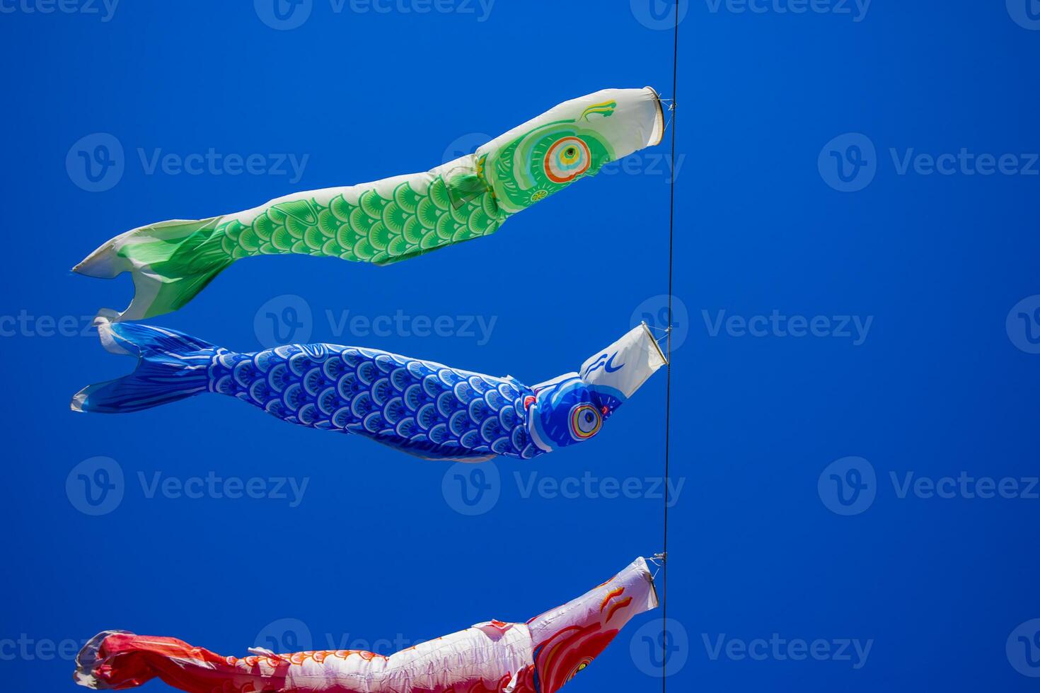 Carp streamer at the park in Tokyo daytime sunny photo